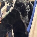 LUXURY Retailer APPAREL Pallet