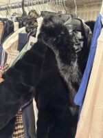 LUXURY Retailer APPAREL Pallet