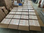 Labubu Authentic Toys (300 pieces/ pallet) - Image 3