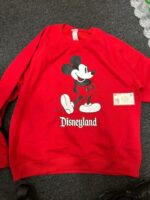 Hoodies Mixed Pallets (300 units per pallet)