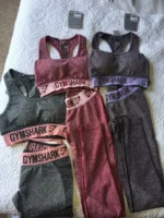 Gymshark Apparel Pallets: Wholesale Activewear for Resellers - Image 3
