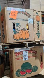 AMZ Wholesale Pallets Liquidation: A Guide for Resellers