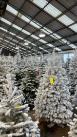 Mixed Christmas Pallets – 250 Christmas Items for £700 - Image 10